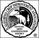 CCIA-logo